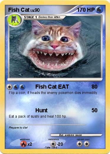 Pokemon Fish Cat
