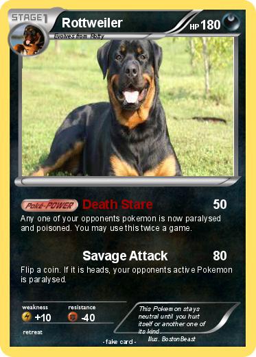 Pokemon Rottweiler