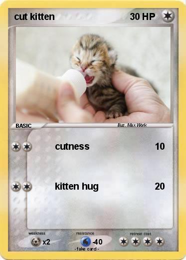 Pokemon cut kitten