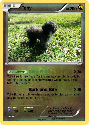 Pokemon Toby