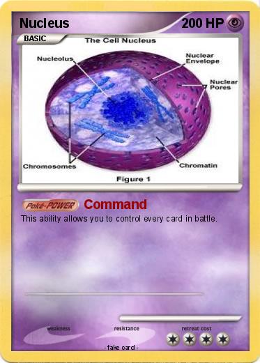 Pokemon Nucleus