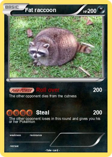 Pokemon Fat raccoon