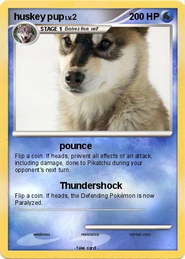 Pokemon huskey pup
