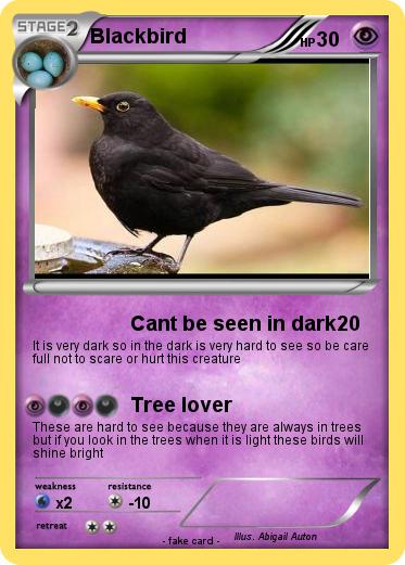 Pokemon Blackbird
