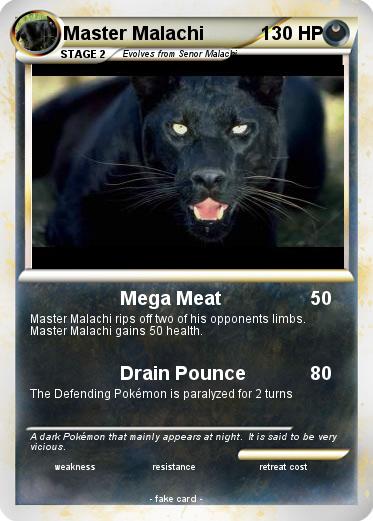 Pokemon Master Malachi