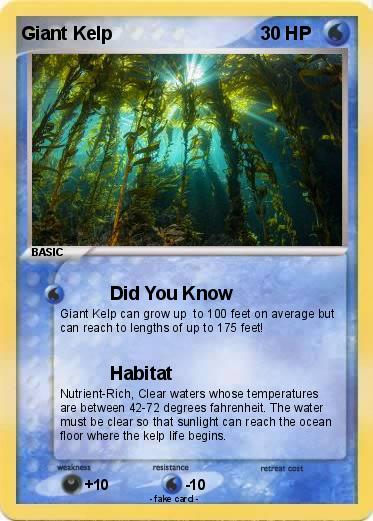 Pokemon Giant Kelp