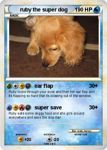Pokemon ruby the super dog