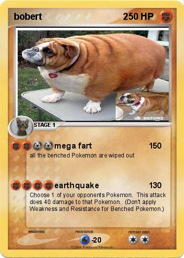 Pokemon bobert                                2
