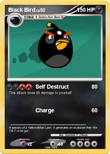 Pokemon Black Bird