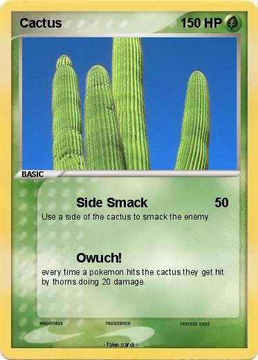 Pokemon Cactus