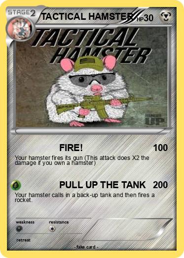 Pokemon TACTICAL HAMSTER