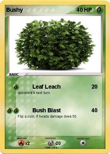 Pokemon Bushy