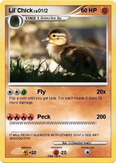 Pokemon Lil`Chick