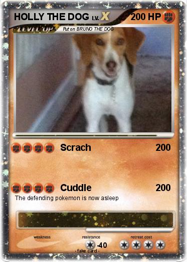 Pokemon HOLLY THE DOG