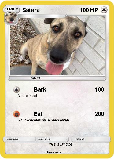 Pokemon Satara