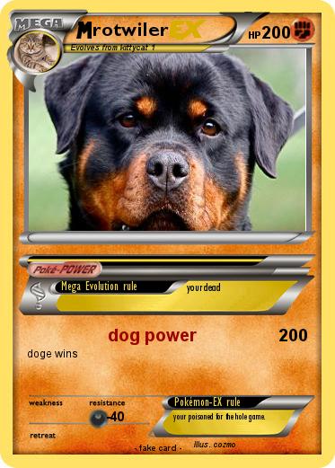 Pokemon rotwiler