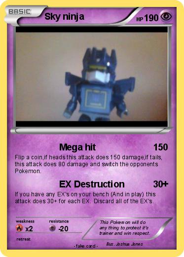 Pokemon Sky ninja