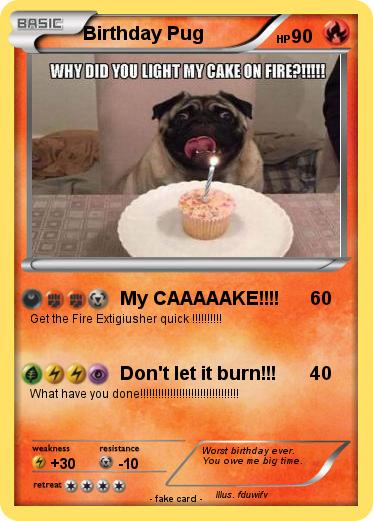 Pokemon Birthday Pug