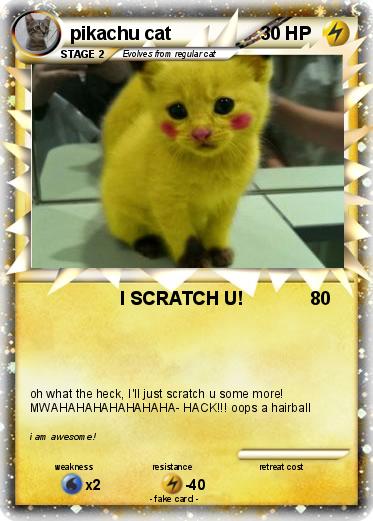 Pokemon pikachu cat
