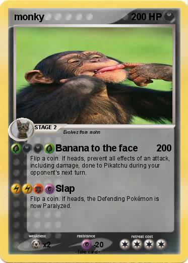 Pokemon monky
