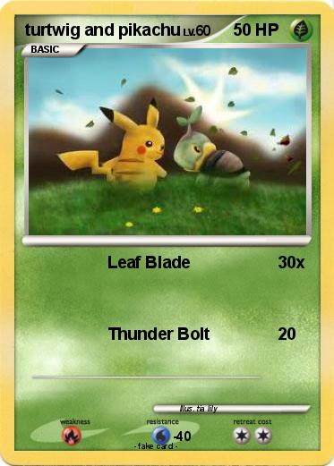 Pokemon turtwig and pikachu