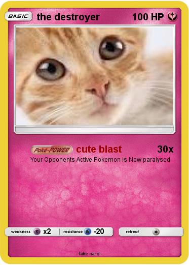 Pokemon the destroyer