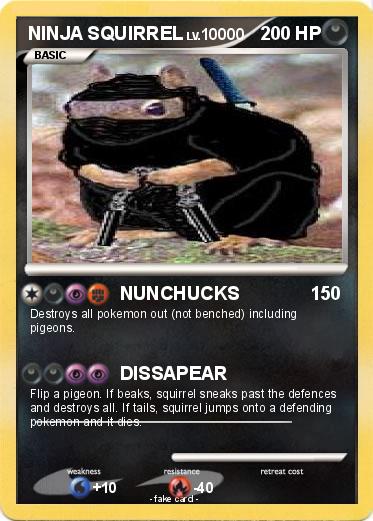 Pokemon NINJA SQUIRREL