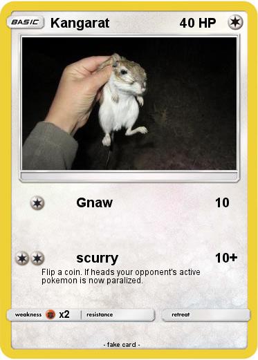 Pokemon Kangarat