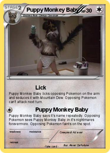 Pokemon Puppy Monkey Baby
