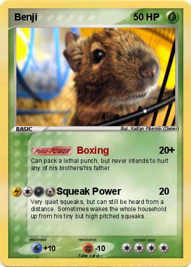Pokemon Benji