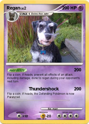 Pokemon Regan