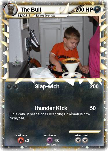 Pokemon The Bull