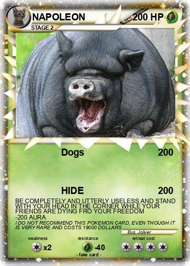 Pokemon NAPOLEON