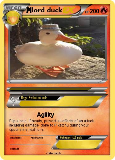 Pokemon lord duck
