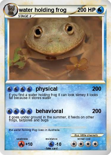 Pokemon water holding frog