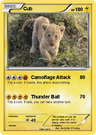 Pokemon Cub