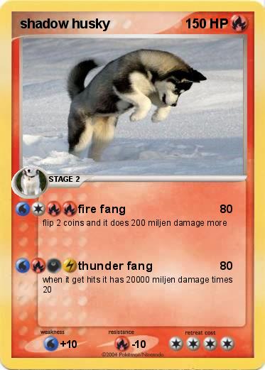 Pokemon shadow husky