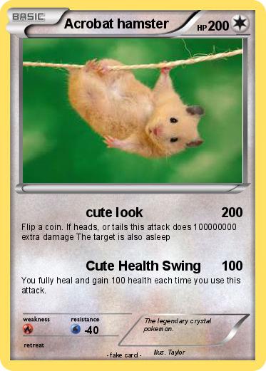 Pokemon Acrobat hamster