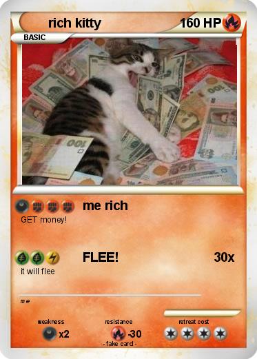 Pokemon rich kitty