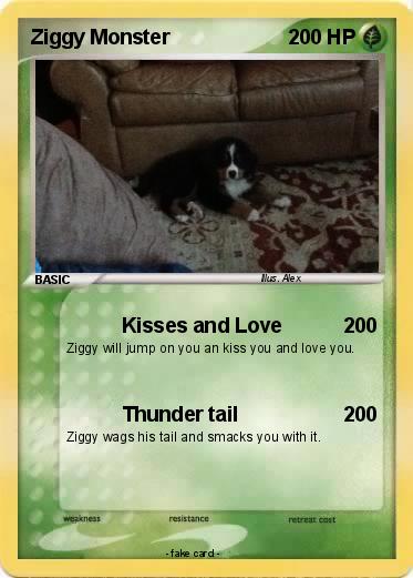 Pokemon Ziggy Monster