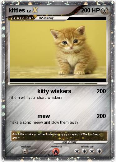 Pokemon kitties