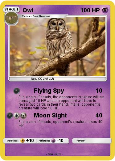 Pokemon Owl