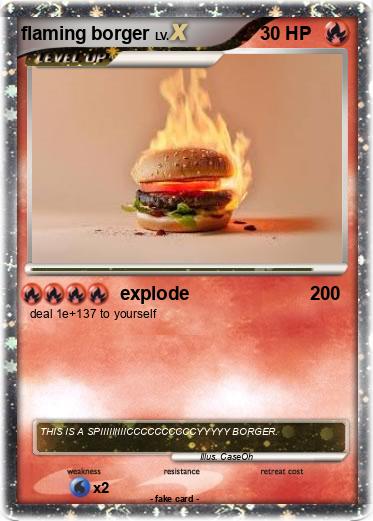 Pokemon flaming borger