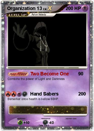 Pokemon Organization 13