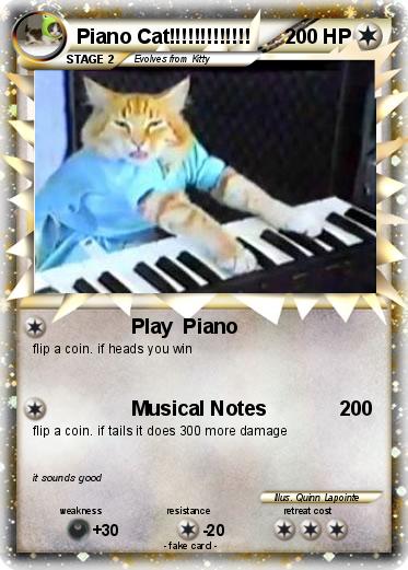 Pokemon Piano Cat!!!!!!!!!!!!!