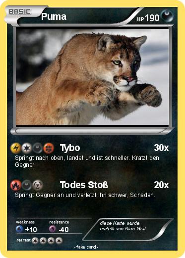 Pokemon Puma