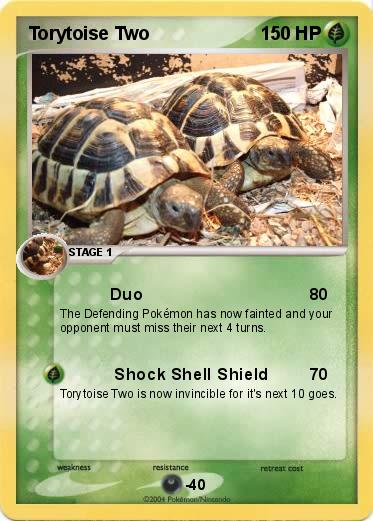 Pokemon Torytoise Two