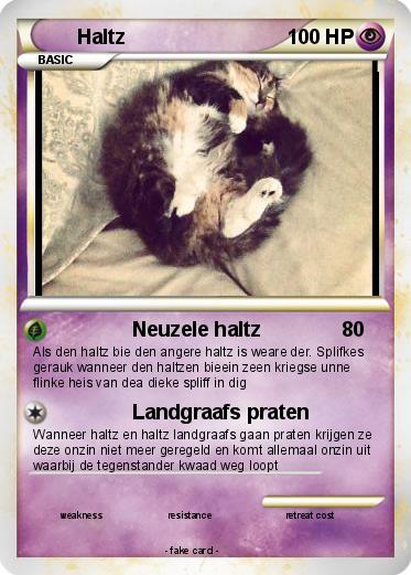Pokemon Haltz