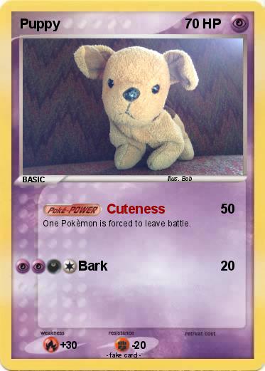 Pokemon Puppy