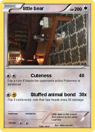 Pokemon little bear